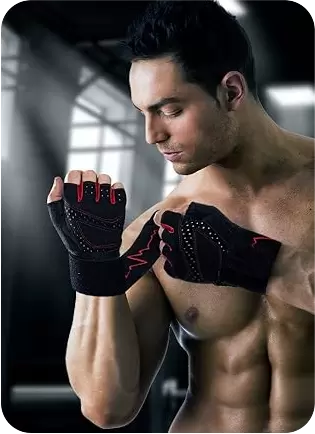 gym-fitness-924046-1725342393